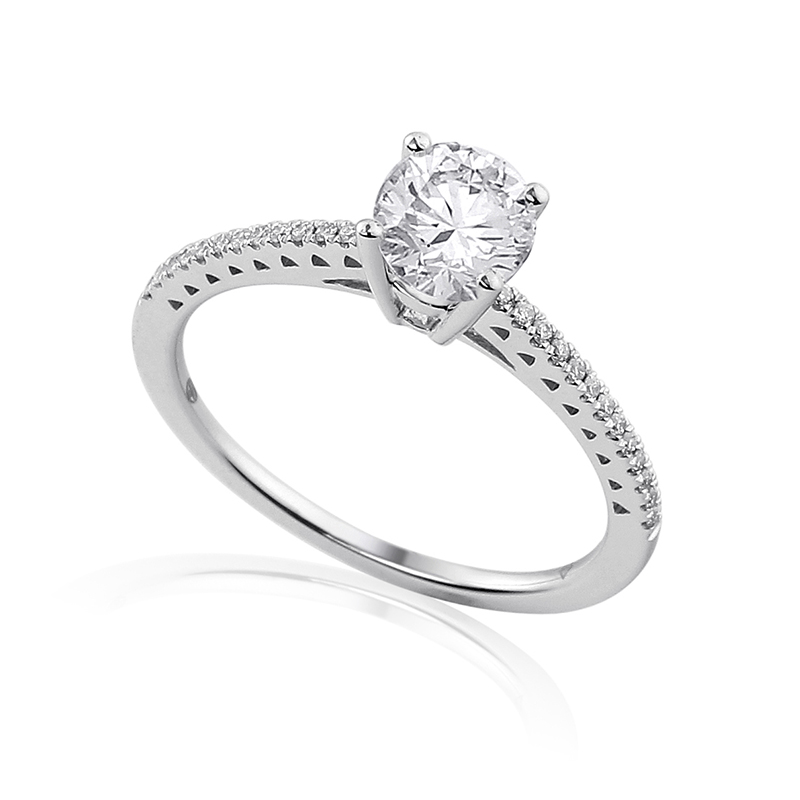 Solitairs Ring Wit Goud 18 Karaat - 0983780